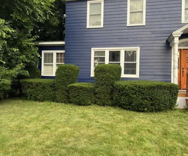 Complete Lawn Maintenance Services