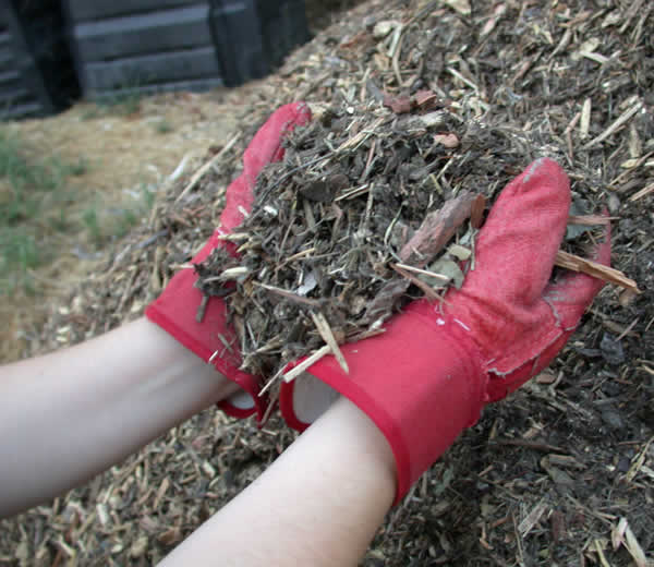 Complete Mulch Installation Services