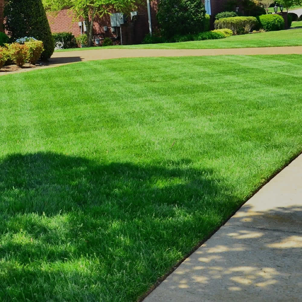 Lawn Maintenance Services Utica