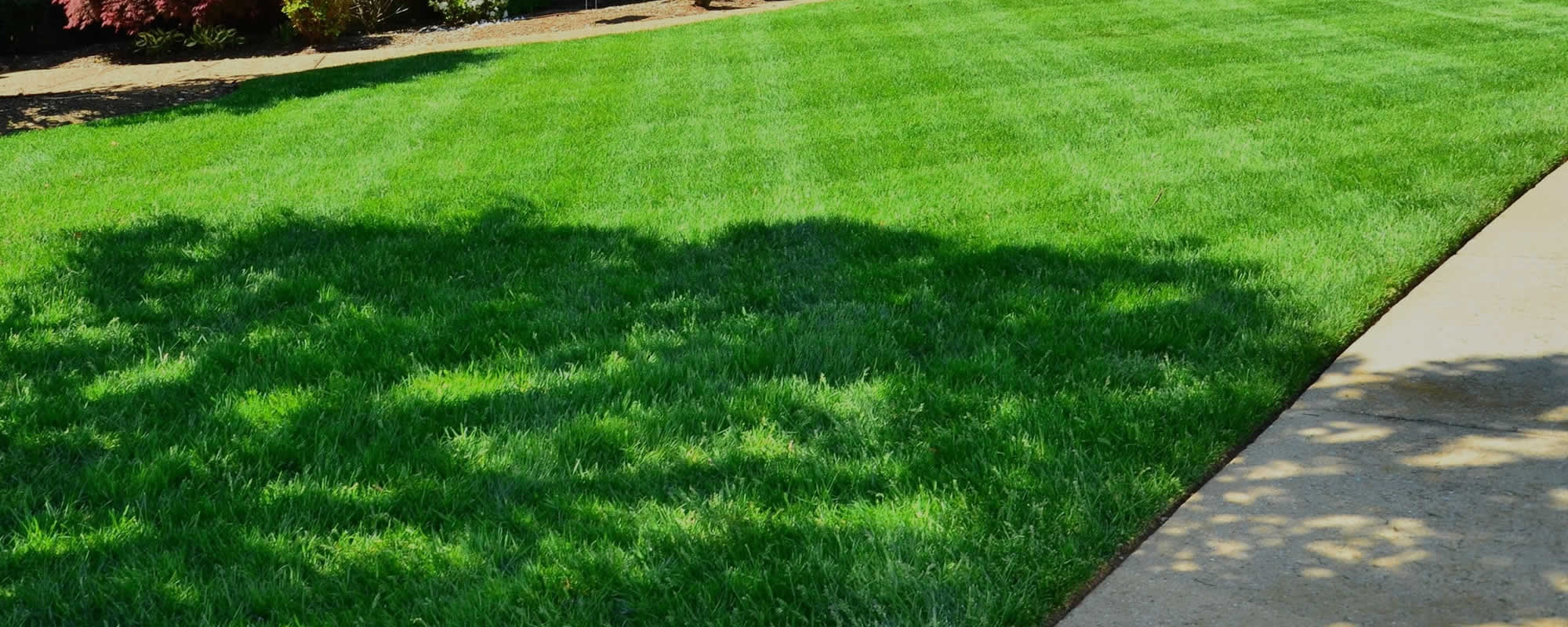 Lawn Maintenance Services Utica
