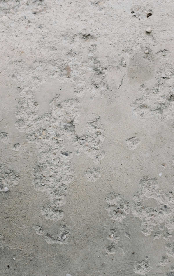 Reliable Concrete Patching Services