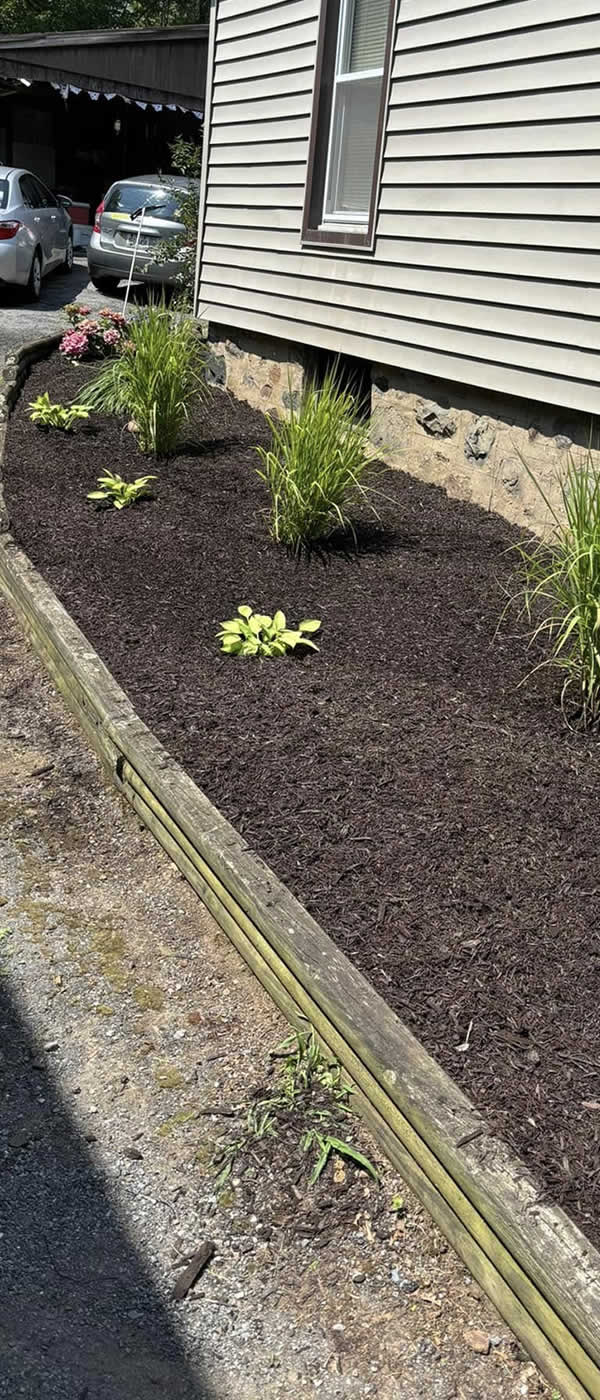 Reliable Mulch Installation Services