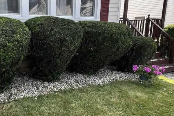 Utica Lawn Maintenance Services