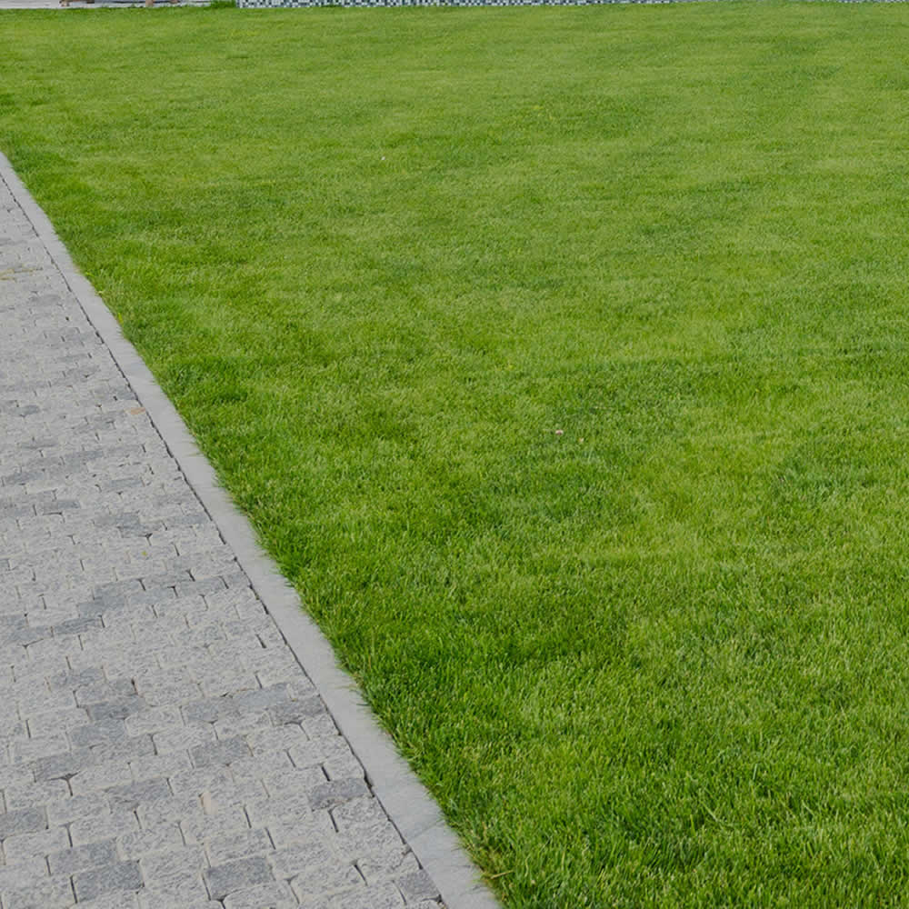 Weed Removal Services Utica