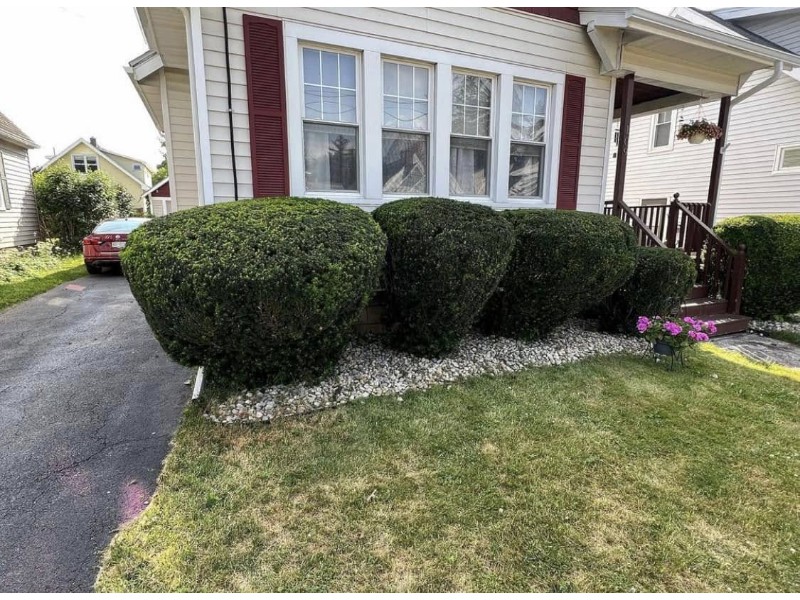 480296186_569594139451935_2223760239483647337_n