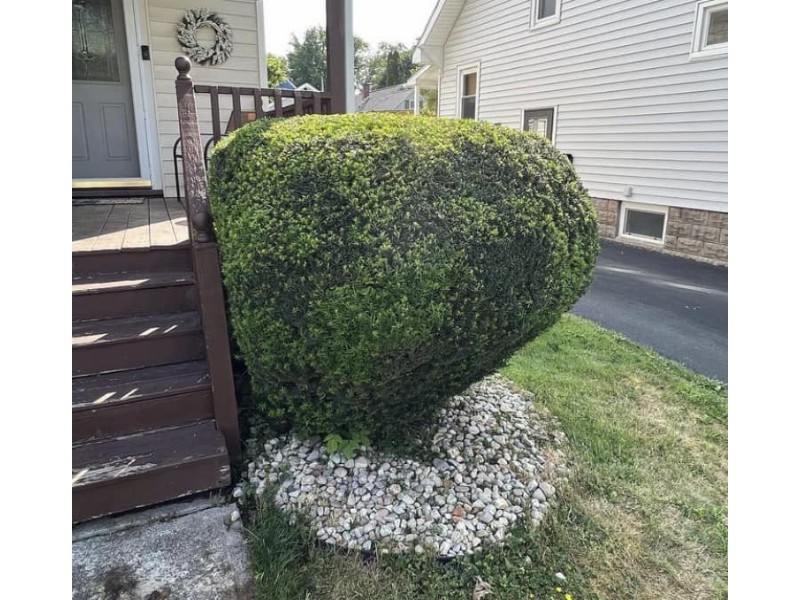 480475705_569594182785264_4802288854206726402_n