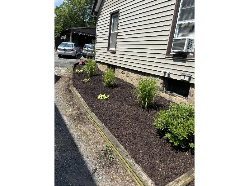 482209842_584322697979079_6055124374116924953_n